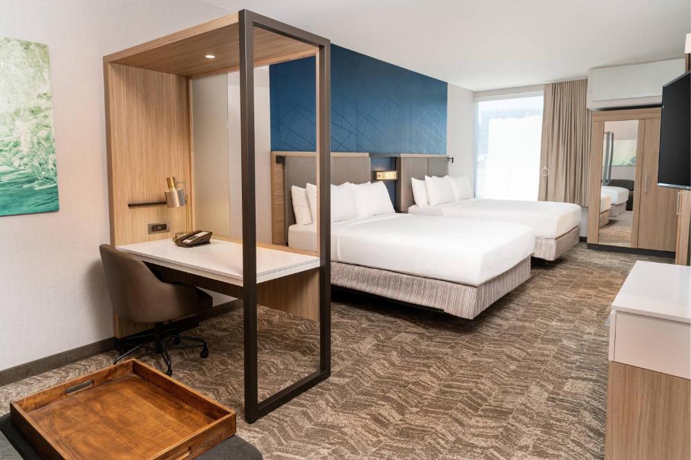 Queen Suite with Sofa Bed - Hearing Accessible interior